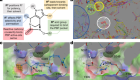 Rational design of a new antibiotic class for drug-resistant infections