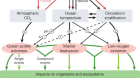 Biogeochemical extremes and compound events in the ocean
