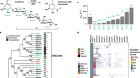 The human microbiome encodes resistance to the antidiabetic drug acarbose