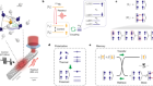Nuclear spin-wave quantum register for a solid-state qubit