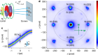 Polarized phonons carry angular momentum in ultrafast demagnetization