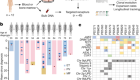 Life histories of myeloproliferative neoplasms inferred from phylogenies