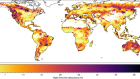 Warming weakens the night-time barrier to global fire