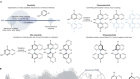 Biocatalytic oxidative cross-coupling reactions for biaryl bond formation