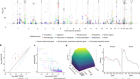 Genetic associations of protein-coding variants in human disease