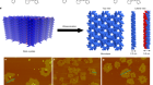 Free-standing homochiral 2D monolayers by exfoliation of molecular crystals