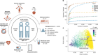 Environmental factors shaping the gut microbiome in a Dutch population