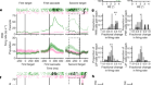 Modulation of inhibitory communication coordinates looking and reaching