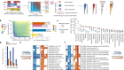 Discovery of bioactive microbial gene products in inflammatory bowel disease
