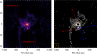 Binarity of a protostar affects the evolution of the disk and planets