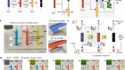 Microfluidic chain reaction of structurally programmed capillary flow events