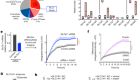 Targeting SLC7A11 improves efferocytosis by dendritic cells and wound healing in diabetes