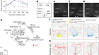 A preoptic neuronal population controls fever and appetite during sickness