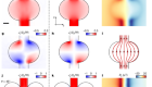 Direct observation of vortices in an electron fluid
