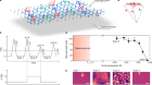 Magnetic memory and spontaneous vortices in a van der Waals superconductor