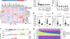 Super-enhancer hypermutation alters oncogene expression in B cell lymphoma