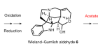 Biosynthesis of strychnine