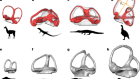 Inner ear biomechanics reveals a Late Triassic origin for mammalian endothermy