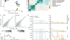 Transcriptome variation in human tissues revealed by long-read sequencing