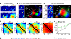 Modular strategy for development of the hierarchical visual network in mice