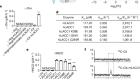 LACC1 bridges NOS2 and polyamine metabolism in inflammatory macrophages
