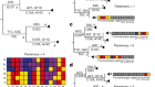 Pandemic-scale phylogenomics reveals the SARS-CoV-2 recombination landscape
