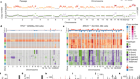 Single-cell genomic variation induced by mutational processes in cancer