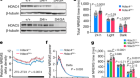 Kinase signalling in excitatory neurons regulates sleep quantity and depth