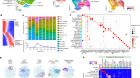 Human fetal cerebellar cell atlas informs medulloblastoma origin and oncogenesis