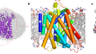 Structural insights into the mechanism of the sodium/iodide symporter
