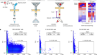 HIV silencing and cell survival signatures in infected T cell reservoirs