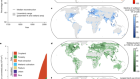 Extensive global wetland loss over the past three centuries