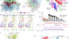 Structural basis for intrinsic transcription termination