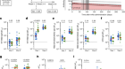 Antibody feedback regulates immune memory after SARS-CoV-2 mRNA vaccination