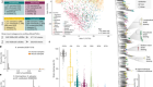 The person-to-person transmission landscape of the gut and oral microbiomes