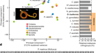Annelid functional genomics reveal the origins of bilaterian life cycles