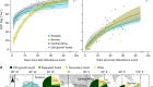 The carbon sink of secondary and degraded humid tropical forests