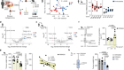Microbiota-derived 3-IAA influences chemotherapy efficacy in pancreatic cancer