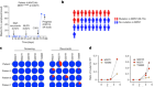 MEN1 mutations mediate clinical resistance to menin inhibition