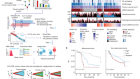 Tracking early lung cancer metastatic dissemination in TRACERx using ctDNA