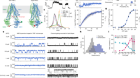 CFTR function, pathology and pharmacology at single-molecule resolution