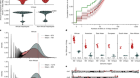 Increased mutation and gene conversion within human segmental duplications
