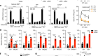 NK细胞受体NKp46承认ecto-calreticulin ER-stressed细胞