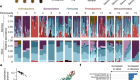 Profiling the human intestinal environment under physiological conditions