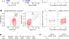 SARS-CoV-2 Omicron boosting induces de novo B cell response in humans