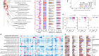Pan-cancer whole-genome comparison of primary and metastatic solid tumours