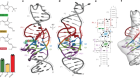 复杂的3 d GFP的DNA模拟的体系结构