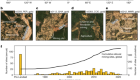 A global rise in alluvial mining increases sediment load in tropical rivers