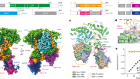 Diverse modes of H3K36me3-guided nucleosomal deacetylation by Rpd3S