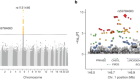 Africa-specific human genetic variation near CHD1L associates with HIV-1 load